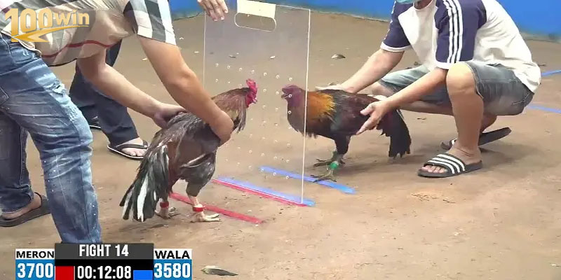 Tình huống gay cấn trong một pha ra đòn tốc độ